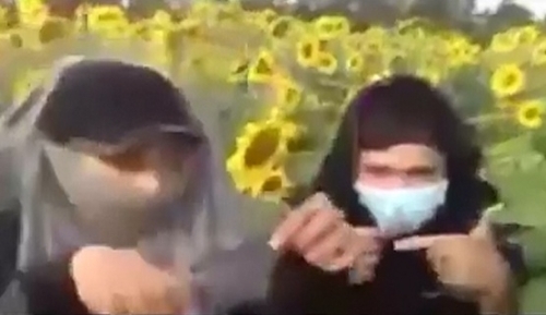 
Hai học sinh che mặt rồi lao vào phá cánh đồng hoa